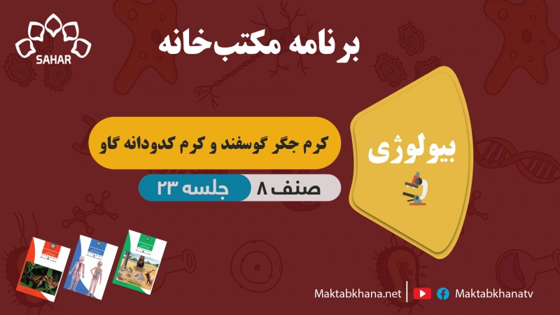 کرم جگر گوسفند و کرم کدو و دانه گاو – جلسه 23 – بیولوژی صنف هشتم