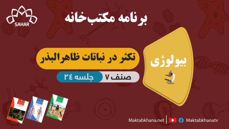 تکثر در نباتات ظاهرالبذر – جلسه 24 – بیولوژی صنف هفتم مکتب خانه