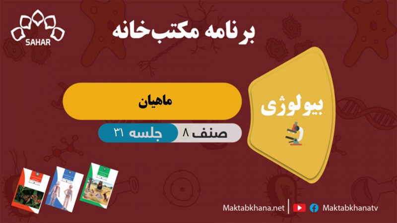 ماهیان – جلسه 31 – بیولوژی صنف هشتم مکتب خانه